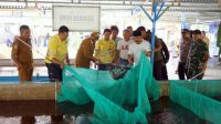 Sinergi Pemda Halmahera Utara dan NHM Peduli Dorong Kemandirian Pangan Melalui Sukses Budidaya Bioflok BUMDes Sadaka Farm.jpg